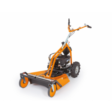 FALCIATUTTO AS 63 4T B&S - AS MOTOR 