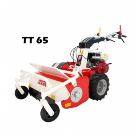 TRINCIASARMENTI TEKNA TT 65 HONDA GX390 HS 