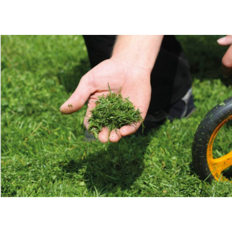 TOSAERBA MULCHING AS MOTOR AS 420 PROCLIP 4T