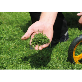 TOSAERBA MULCHING AS510 PROCLIP 4T A 2 IN 1 - AS MOTOR