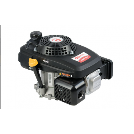 MOTORE A BENZINA ZANETTI ZBMV 160 L 5
