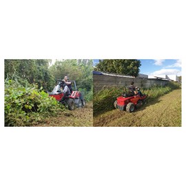 TRATTORINO TRINCIASERMENTI MECCANICA BENASSI FOX 110 4WD