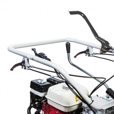 TRANSPORTER BERTOLINI BTR 550 D CON MOTORE HONDA 