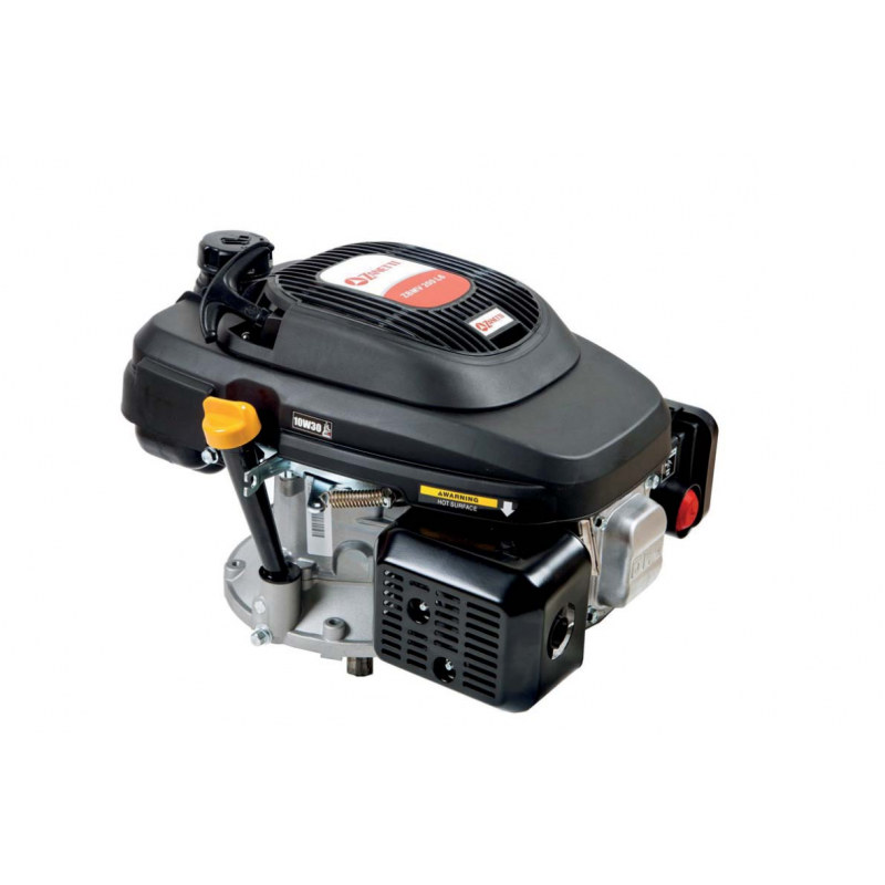 MOTORE A BENZINA ZANETTI ZMBV 225 L6